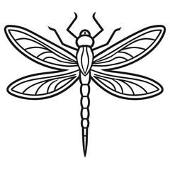 Dragonfly vector illustration