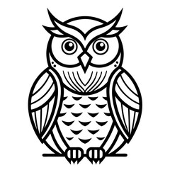 Owl on white background