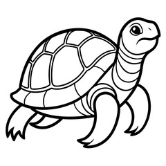 Turtle vector illustration