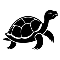 Turtle vector illustration