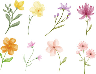 Wildflowers and Leaves Watercolor Set