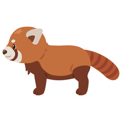 レッサーパンダの横向きイラスト