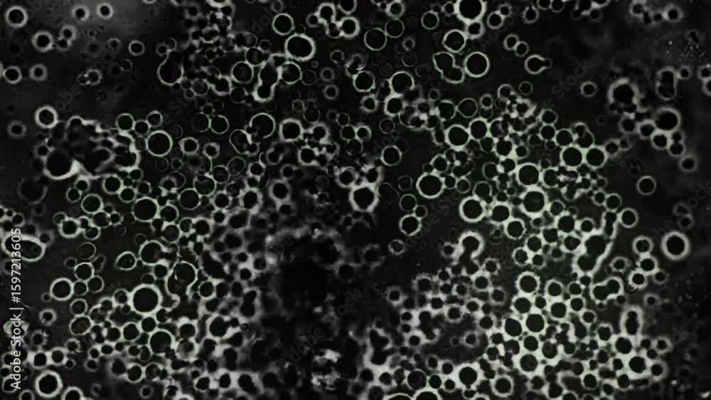 Poster abstract black and white circular patterns with shadowy background