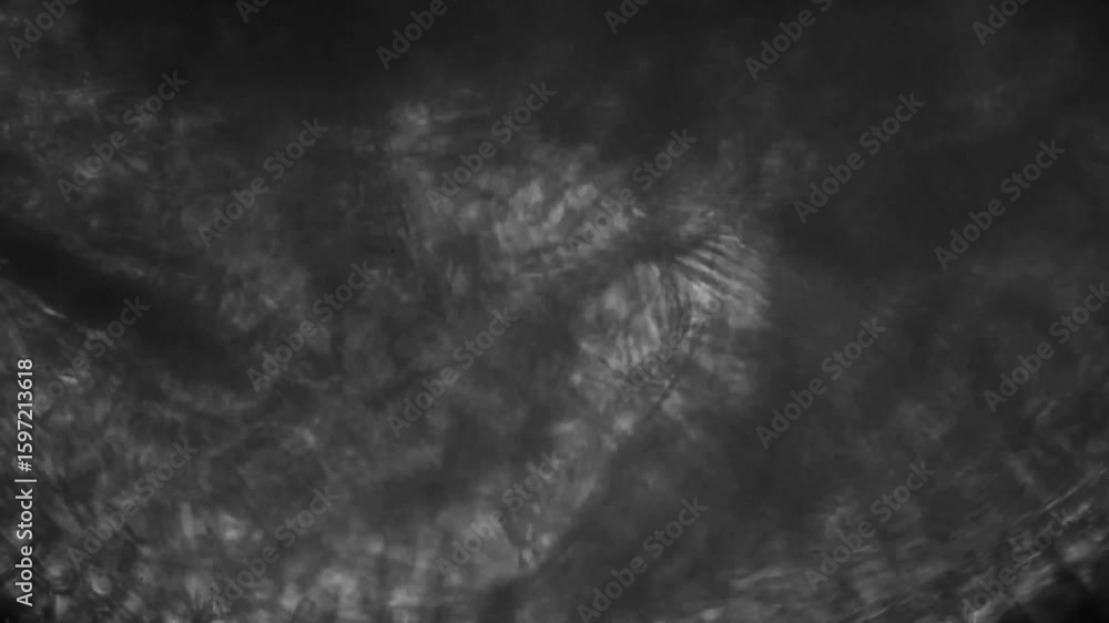Poster abstract monochrome textured light reflections captured in motion image