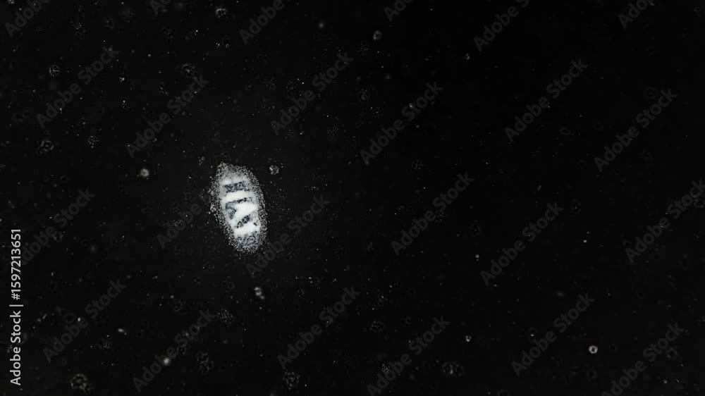 Poster microscopic view of unique cell in dark liquid environment with particles