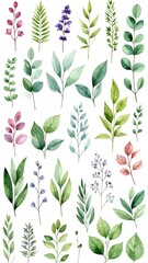 Watercolor botanical leaves