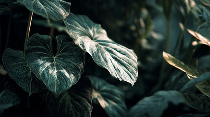 Lush tropical plant with vibrant green leaves, perfect for nature, botany, summer, or exotic decor concepts. Ideal for backgrounds, design, and wellness themes.