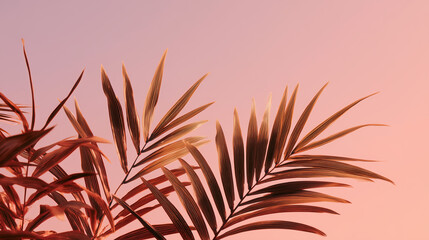 Tropical plant leaves silhouetted against a vibrant sunset sky. Warm summer vibes, perfect for nature, travel, or seasonal design themes with a relaxed atmosphere.
