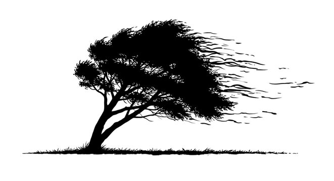 Silhouette of a Tree Bent by Strong Wind, Black and White