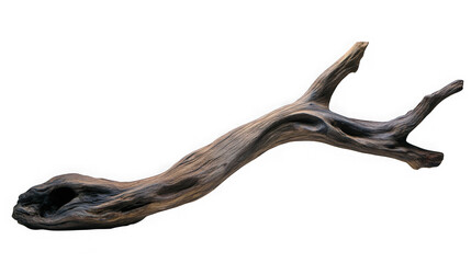 Obraz premium Natural weathered driftwood branch isolated on transparent background