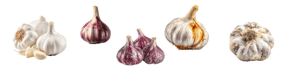 Fototapeta premium Various Types of Fresh Garlic Showcasing Different Textures and Colors