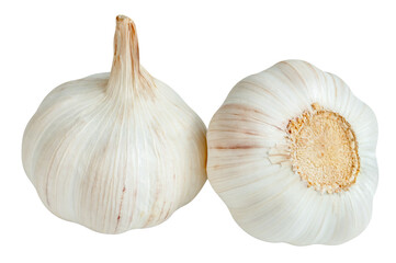 raw garlic isolated