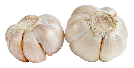 Fototapeta premium raw garlic isolated