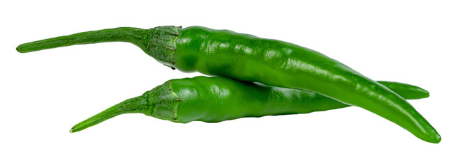 green chili pepper isolated
