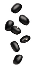 black beans falling isolated on transparent background