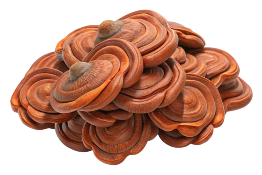 Close up of a cluster of organic swirling textured brown and orange shapes isolated on transparent background