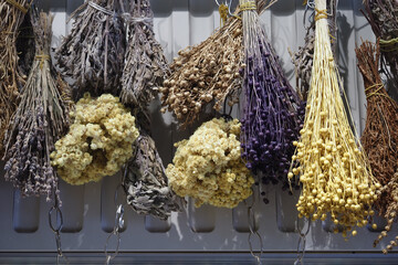 Dried flowers hanging in an artistic arrangement indoors