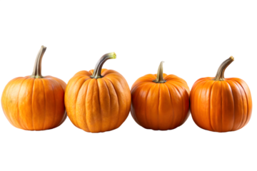 A group of four vibrant orange pumpkins with prominent stems, lined up and isolated on a clean transparent background, symbolizing autumn harvest and seasonal celebrations