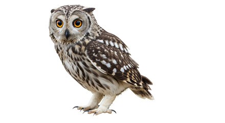 A majestic owl perched gracefully, showcasing its striking features against a plain background
