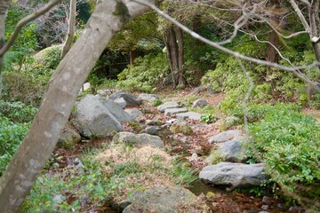 Scenery of a small river flowing through a Japanese garden