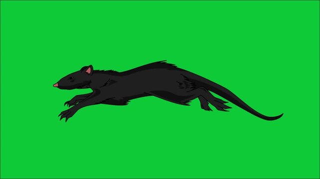 High-speed 2D looping animation of a black, furry rat running quickly, drawn in a rough, hand-sketched line art style