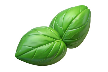 Fresh green basil leaves isolated on transparent background