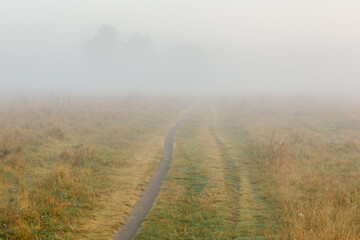 Misty dirt road through autumn field