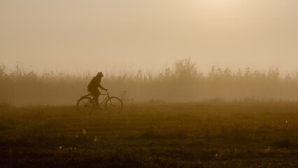 Silhouette of cyclist in foggy morning field
