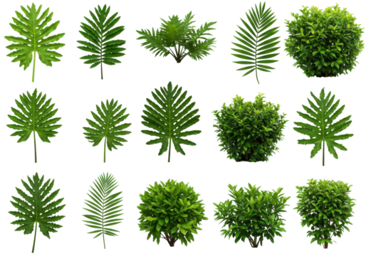 Various lush green plant leaves arranged in a grid, showcasing diverse shapes and sizes