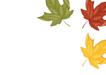 horizontal poster with autumn leaves, namely maple leaves in various autumn colors, for autumn patterns, cards or websites