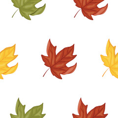 Autumn leaf pattern, specifically maple leaves in various autumn colors, for autumn designs, cards or websites