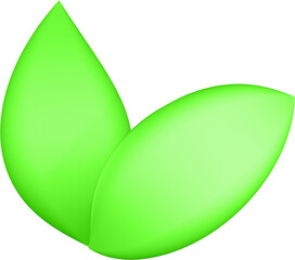 3d render of green plant leaves close up with details on a transparent isolated background