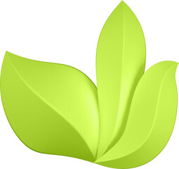 3d render of green plant leaves close up with details on a transparent isolated background