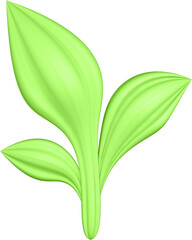 3d render of green plant leaves close up with details on a transparent isolated background