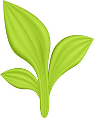 3d render of green plant leaves close up with details on a transparent isolated background