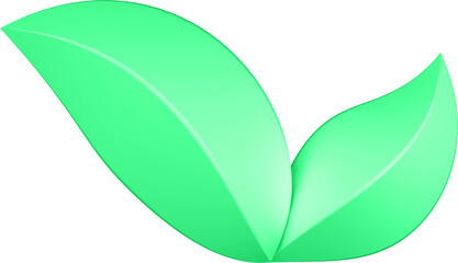 3d render of green plant leaves close up with details on a transparent isolated background