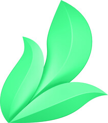 3d render of green plant leaves close up with details on a transparent isolated background