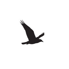 Bird in Flight Silhouette on White Background – Vector Illustration for Symbolic Freedom, Natural Motion, and Skyward Elegance Concepts
