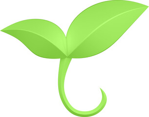 3d render of green plant leaves close up with details on a transparent isolated background