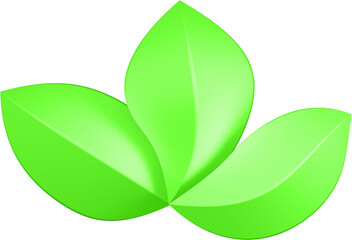 3d render of green plant leaves close up with details on a transparent isolated background