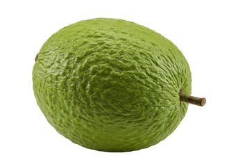 Fresh green avocado isolated on white background, showcasing its smooth texture and shape