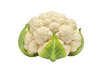 Fresh cauliflower with vibrant green leaves isolated on a white background