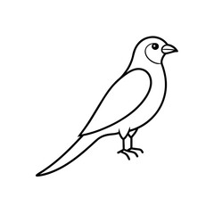 Obraz premium lilac breasted roller .svg