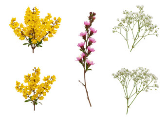 Assorted Wildflowers Displayed in a Bright and Colorful Arrangement