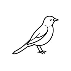 Fototapeta premium mountain bluebird .svg