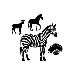 Obraz premium safari zebra watercolor illustration sa.svg