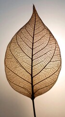 Obraz premium Detailed leaf veins