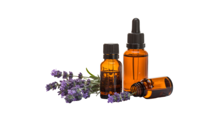Amber Bottles of Lavender Essential Oil with Fresh Lavender Flowers