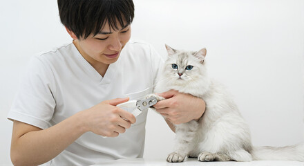 白い爪切りで猫の爪を丁寧に手入れする飼い主｜室内猫のグルーミング・ペットケア・爪切りのしつけシーン -生成AI