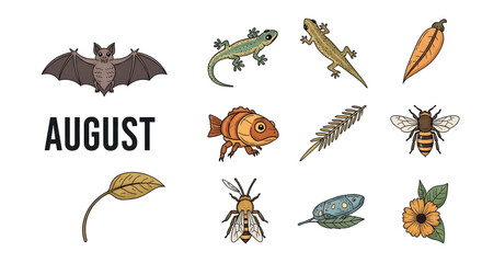A collection of colorful nature illustrations representing the month of August, including various animals and plants.